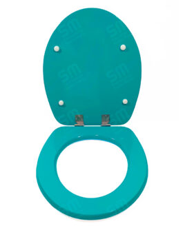 ASIENTO FADAS TURQUESA PARA INODORO FLORENCIA