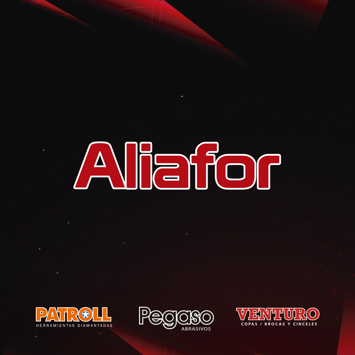DISCO FIBRA GRUESA ABRASIVO CHAUPINT PEGASO ALIAFOR 115 mm - Imagen 5